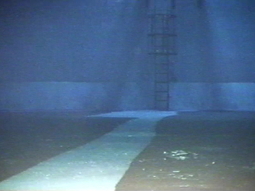 清掃後　清掃前