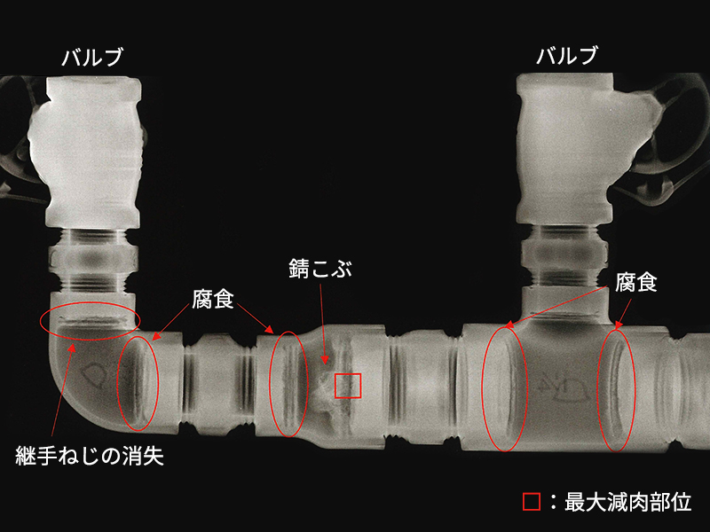 画像のオルトです