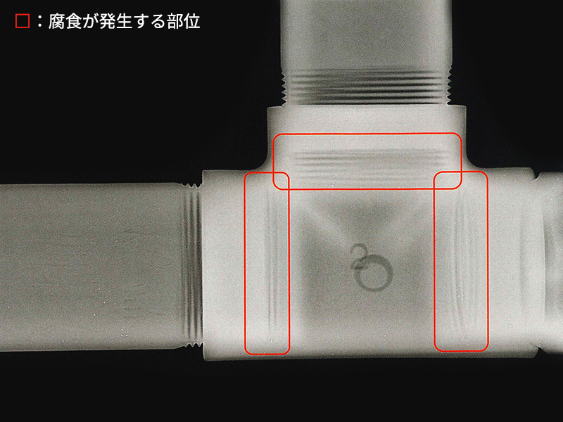 画像のオルトです