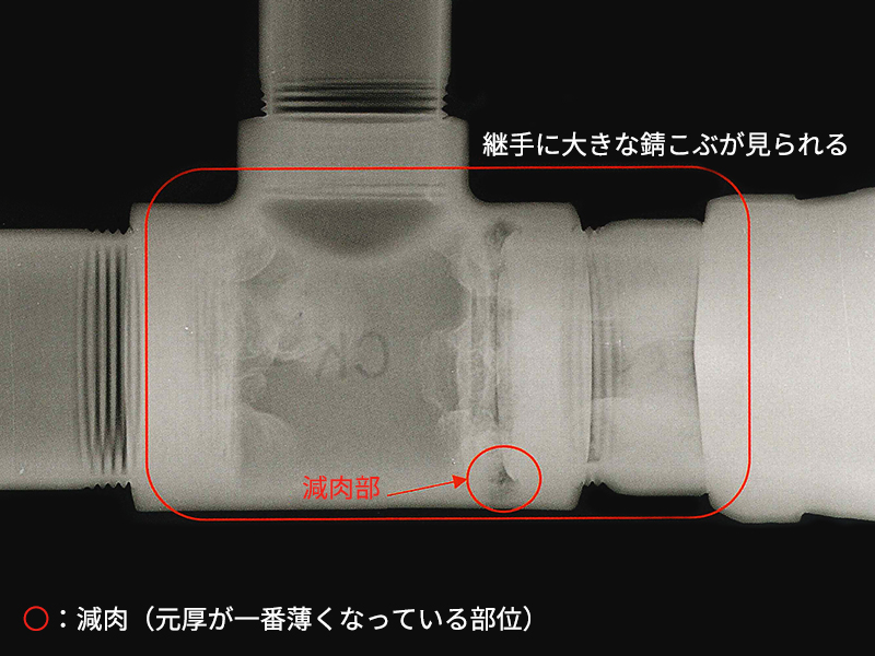 画像のオルトです